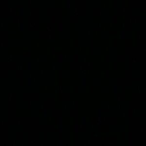 Meet your Posher, Amaria